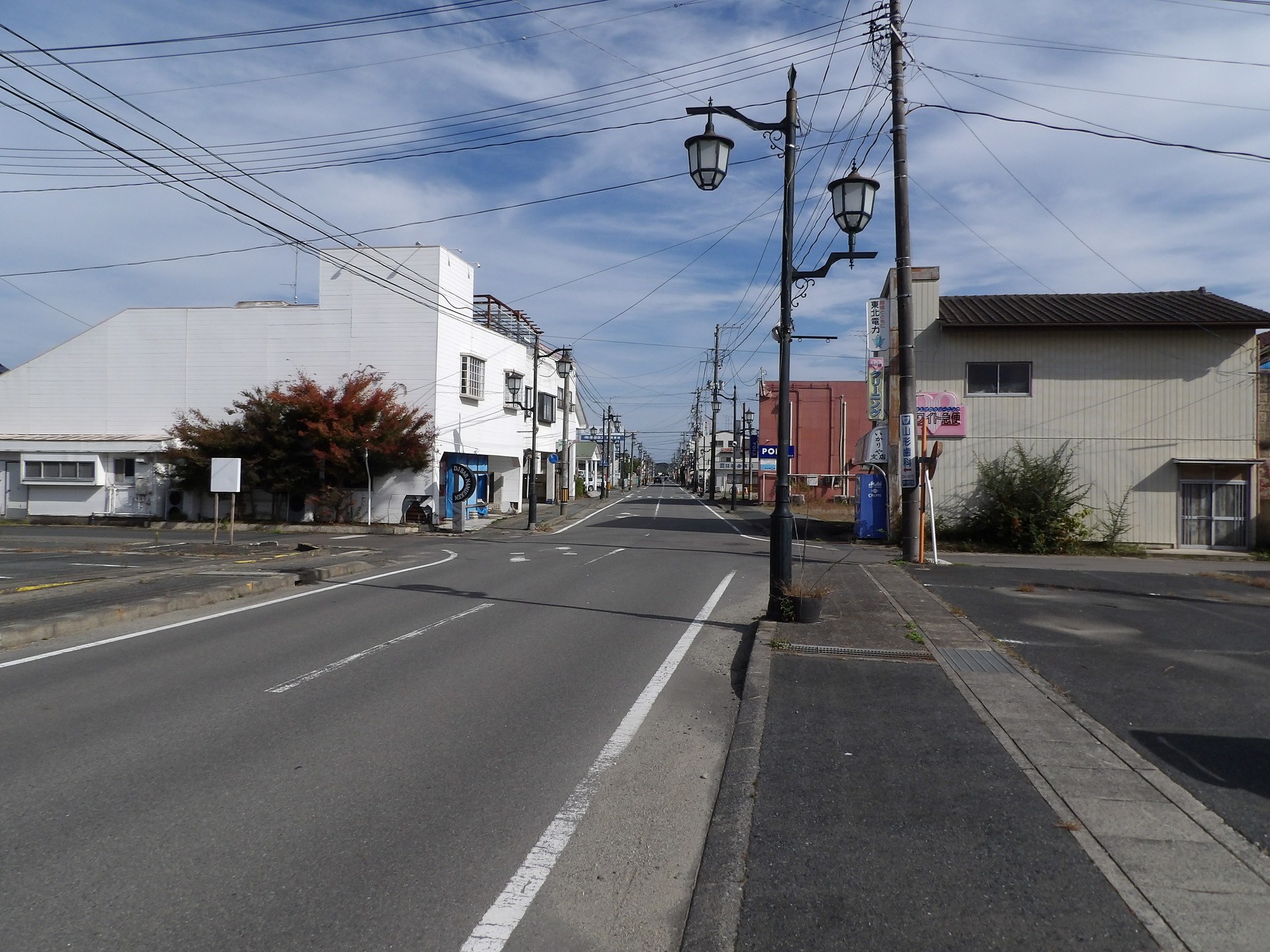 5回目の東北被災地旅２０ 浪江町 ワオキツネザルの野望